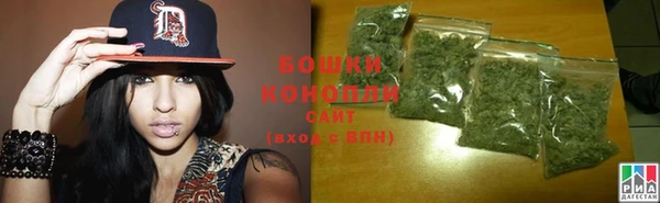 крисы Ельня