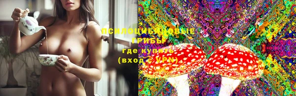 ПСИЛОЦИБИНОВЫЕ ГРИБЫ Елабуга