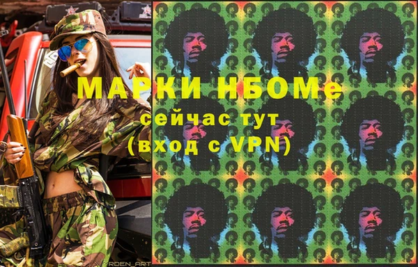 крисы Ельня
