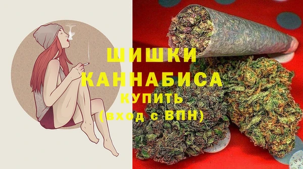 амф Дмитровск